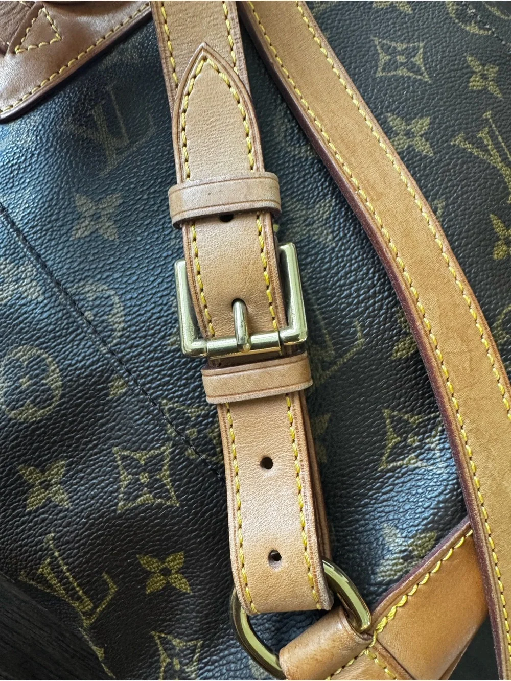 Louis Vuitton iconic lv